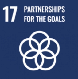 SDG17