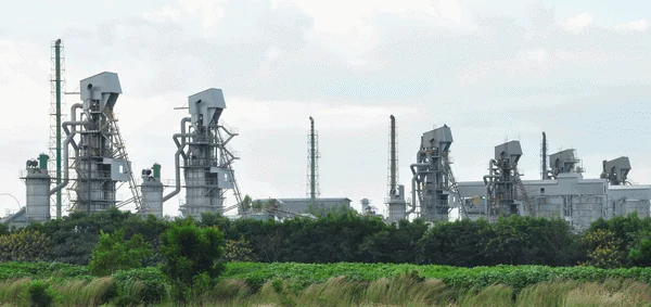 HW Plant